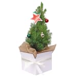 Gift Boxed Christmas Tree  - Standard