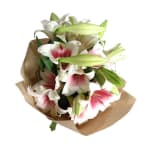 Christmas Lilies - Standard