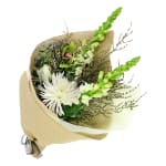 Moonlit Garden - Standard