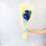 Blue Roses - Standard