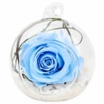Preserved Blue Rose Orb - Deluxe