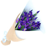 Mother's Day Iris - Standard