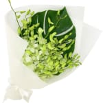 White Orchid Bunch - Standard