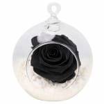 Preserved Black Rose Orb - Standard