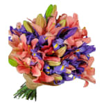 Lilies and Iris - Premium