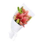 Lily Bunch - Deluxe
