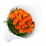 Orange Rose Bouquet - 12 Roses (One Dozen)