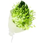 White Orchid Bunch - Standard