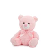 Relay Pink Teddy Bear