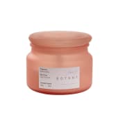 Botany Jar Candle Dahlia 