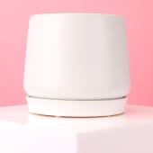 Large White Ceramic Loretto Pot