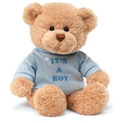Its A Boy Bear