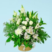 Dreaming In Snow  - Standard