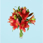 Lilies in a Vase - Deluxe