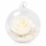Preserved White Rose Orb - Standard