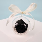 Preserved Orb - Standard