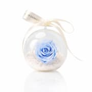 Preserved Blue Rose Orb - Standard