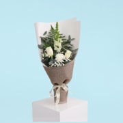 Arctic Belle - Premium