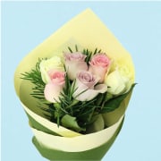  Pastel Roses  - 6 Roses (Half Dozen)