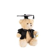 Graduation Teddy Bear - Standard