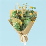 Forever Natural  - Standard