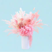 Serenade Of Pink  - Standard