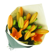 Orange Lily Bunch - Standard