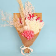 Strawberry Fields - Standard