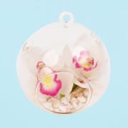 White Orchid Orb  - Deluxe