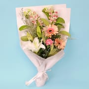 Peachy Mist - Standard