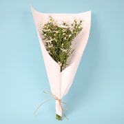 Easter Daisy Market Bunch  - Standard