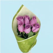 Mauve Roses  - 6 Roses (Half Dozen)