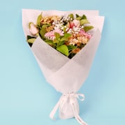 Pastel Paradisa - Standard