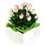 Bliss Pink Rose Flower Box - Standard