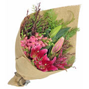 Enchanting Daydream - Standard