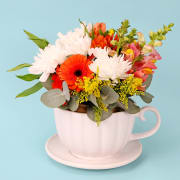 Wonderland Whimsy  - Standard