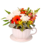 Wonderland Whimsy Ceramic Teacup Flower Arrangement - Standard