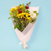 Summer Fiesta - Standard