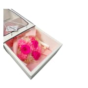 Preserved Hot Pink Posy - Standard