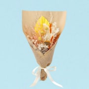 Copper Radiance  - Standard