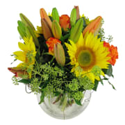 Splendours Of The Season - Standard