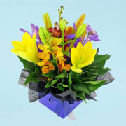 Making Magic Mixed Brights  - Standard