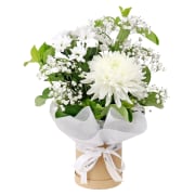 Thinking Of You Hat Box - Standard