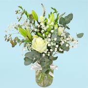 Garden Sprite  - Standard