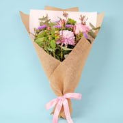 Darling Buds Of May - Standard