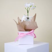 Gift Boxed Orchid Gem  - Standard