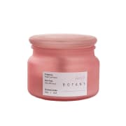 Botany Jar Fresh Cut Peony - Standard