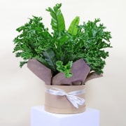 Woodland Nest Hat box  - Standard