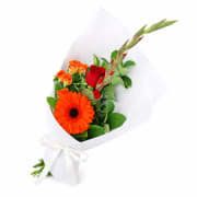 Vibrant Petal Medley - Standard