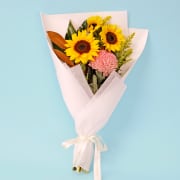 Shimmering Sunrise - Standard